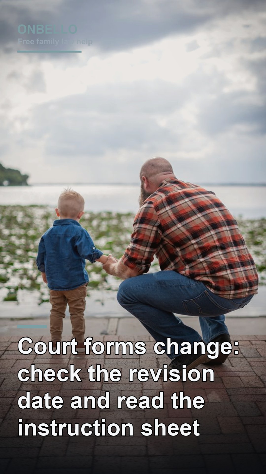 Court forms change: check the revision date and read the instruction sheet