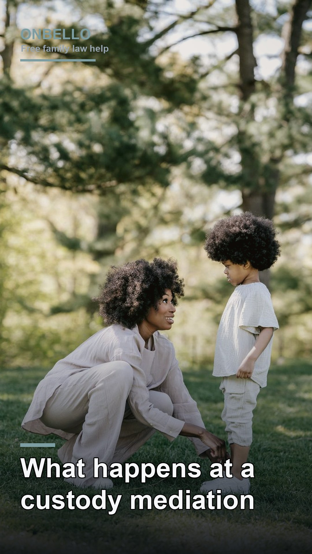 What happens at a custody mediation